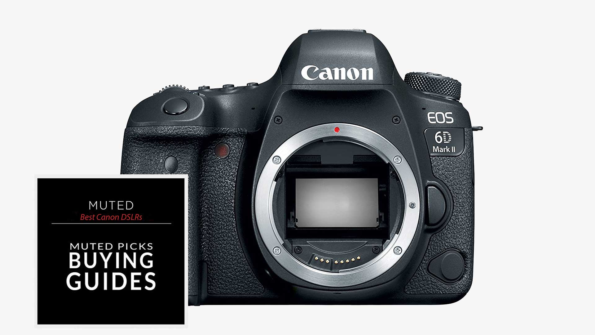 Best Canon DSLRs For Every Budget