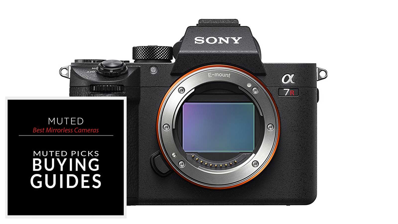 Best Mirrorless Cameras For Any budget