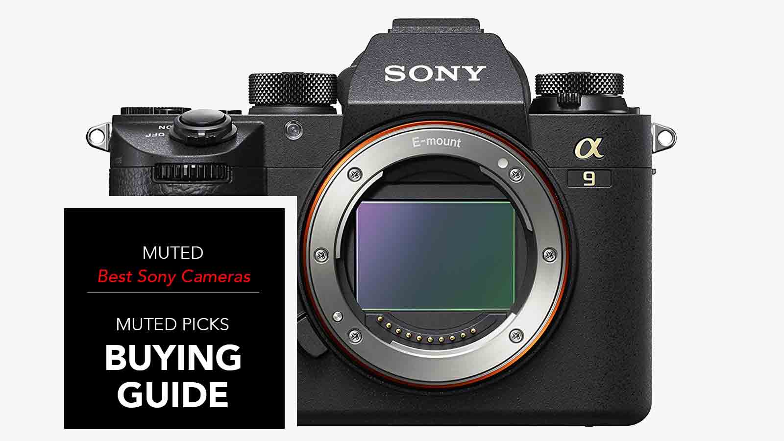 Best Sony Mirrorless Cameras